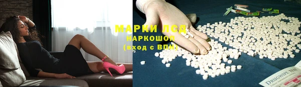 прущий лед Вяземский