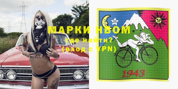 прущий лед Вяземский