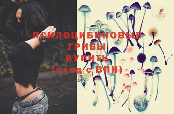 jwh Горнозаводск