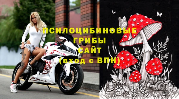 прущий лед Вяземский