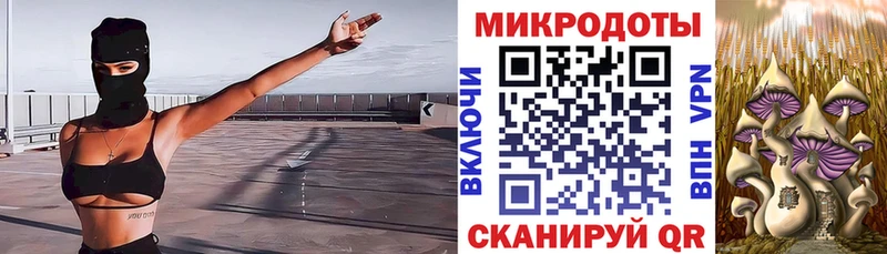 OMG ONION  Кондрово  Галлюциногенные грибы Cubensis 